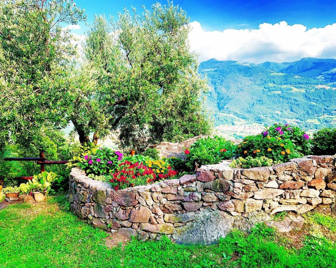 Casa Vacanze La Casa Del Sole Angolo Terme Екстериор снимка